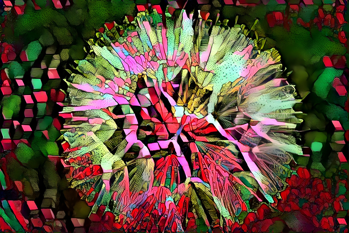 Kaleidoscope