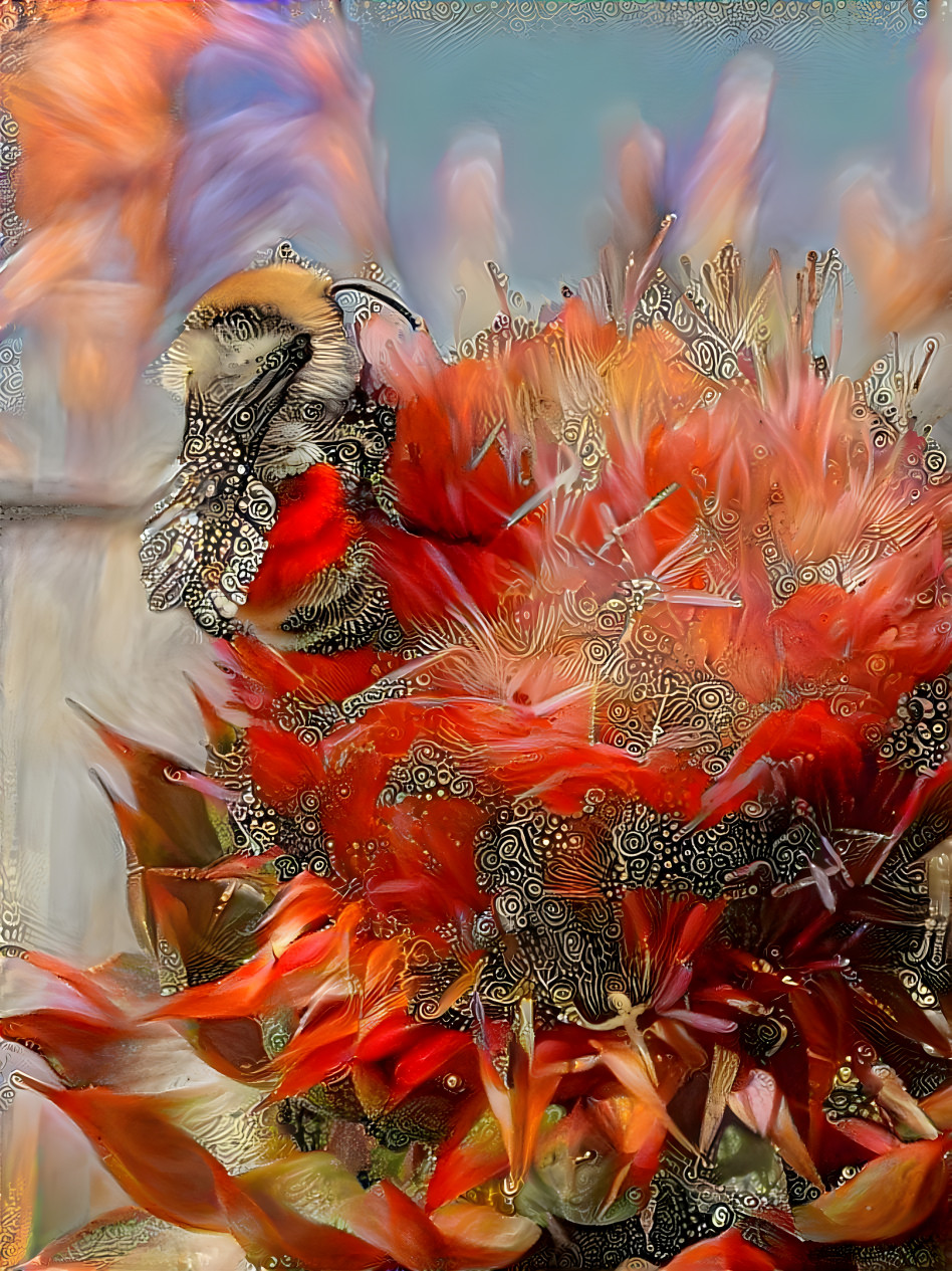 Bee on thistle 