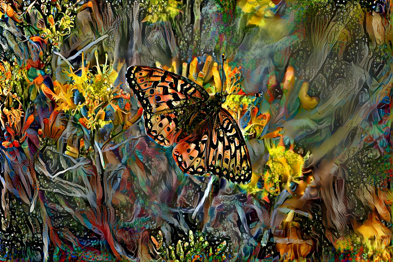 Butterfly on rabbit brush