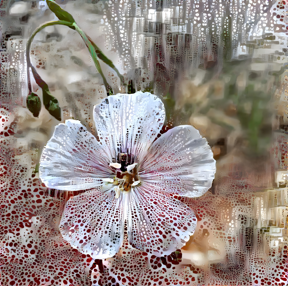 Wild blue flax