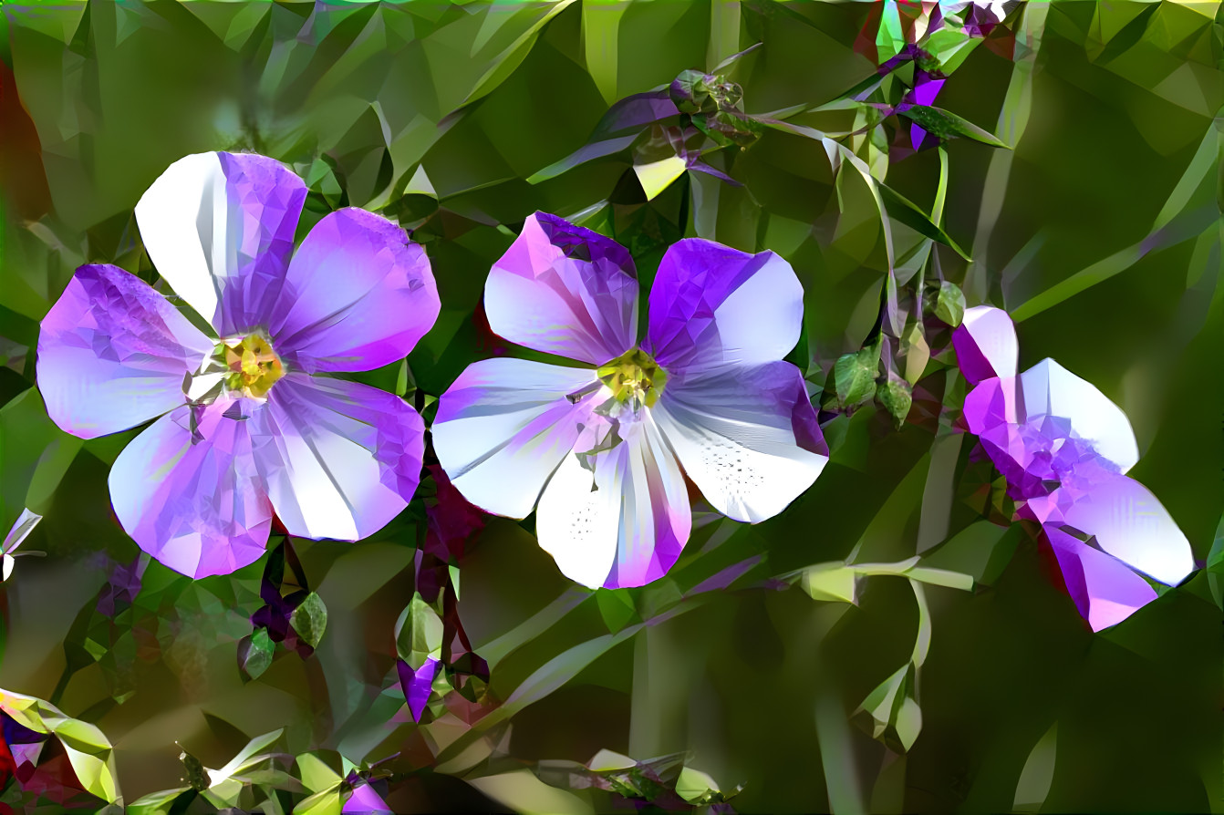 Blue Flax