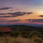 Tranquil sunset landscape with rolling hills and wildflowers