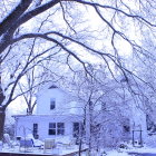 Snow-covered trees and whimsical ice castle in soft light