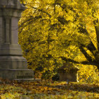 Autumn sunlight through ancient stone archway with dappled shadows