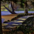 Winter forest landscape with stream, sunlight, and mist.