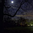 Spooky mansion illuminated by crescent moon at night