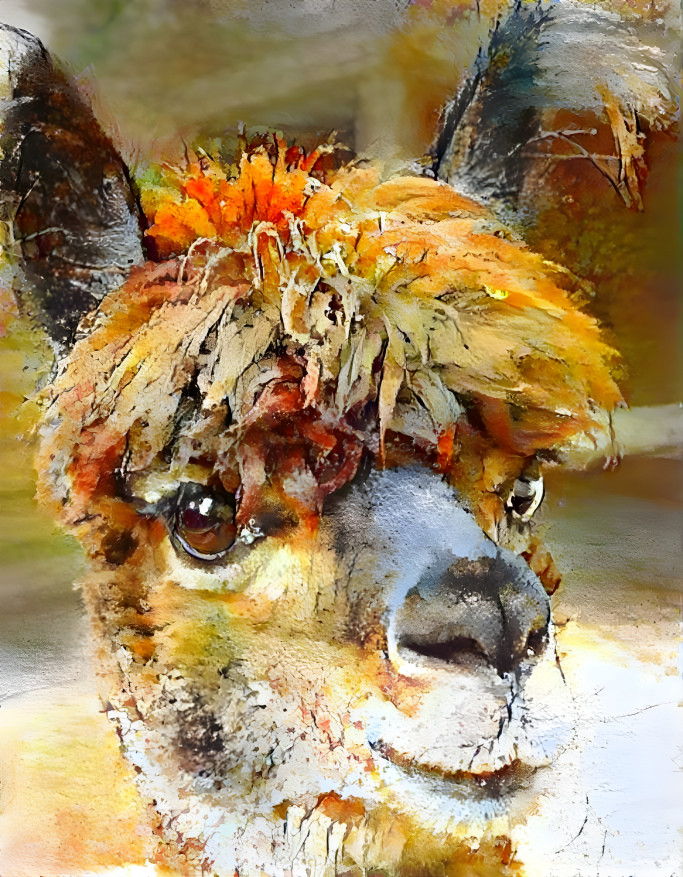 Alpaca