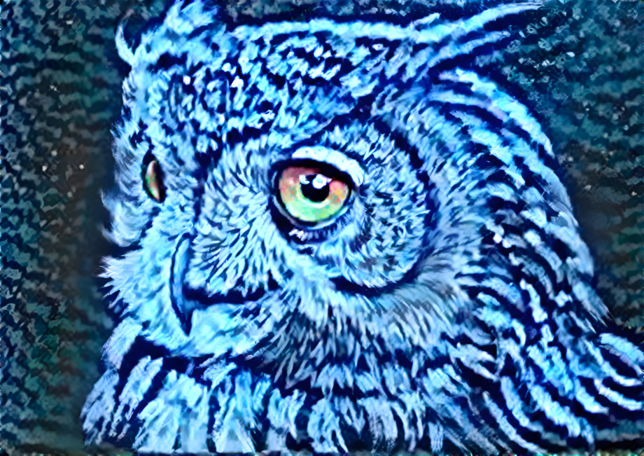 Dream owl