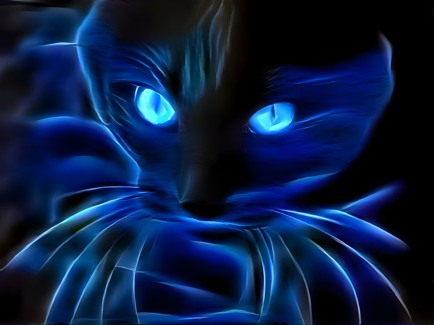 Blue cat