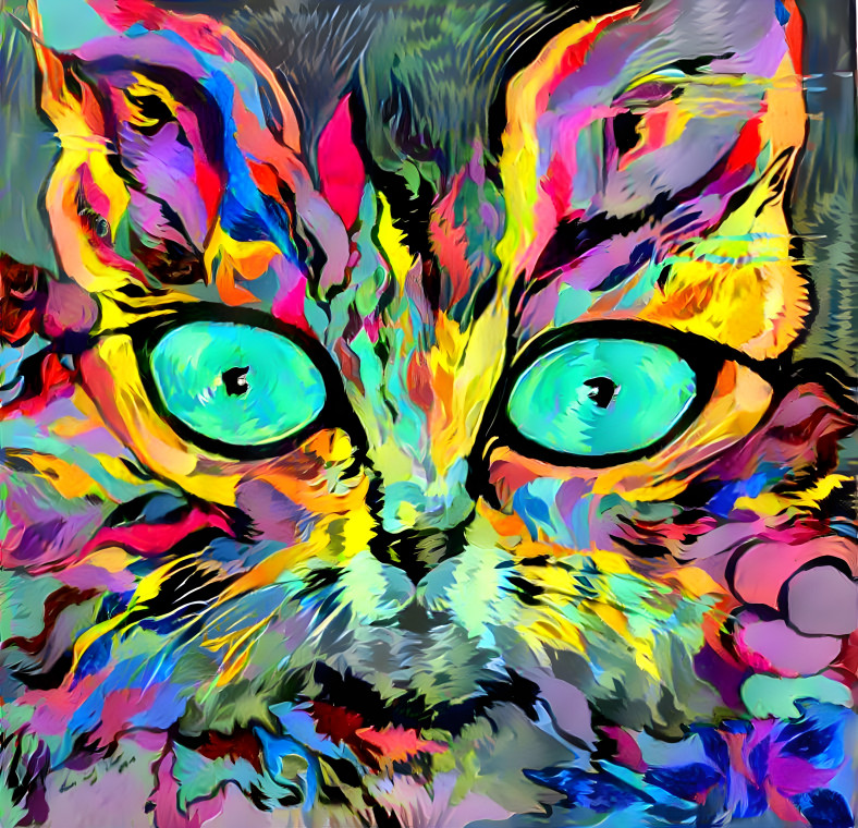 Multicolored cat