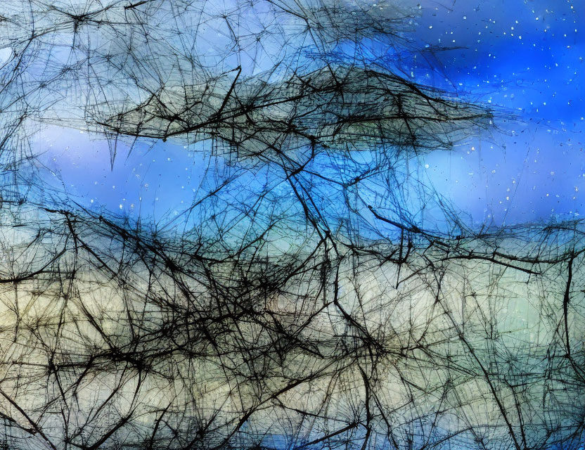 Abstract black line web over blurred blue starry night sky