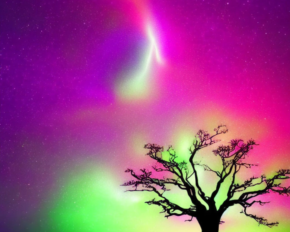 Colorful aurora borealis lights up sky over lone leafless tree