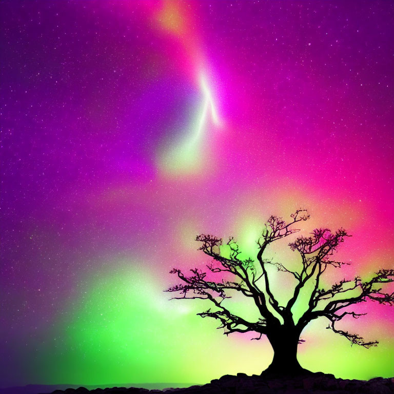 Colorful aurora borealis lights up sky over lone leafless tree