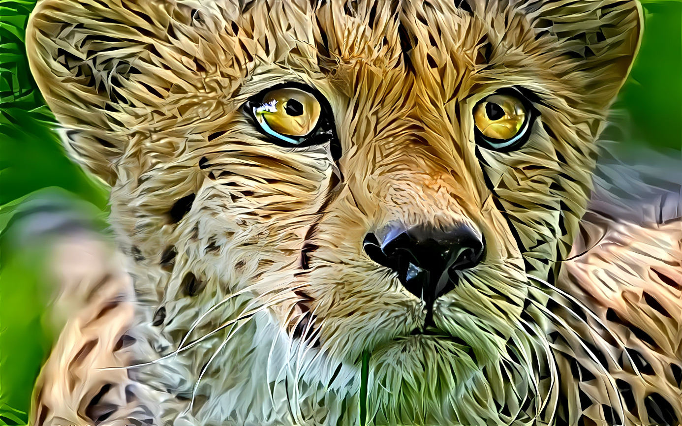 ( ( ( CHEETAH ) ) )