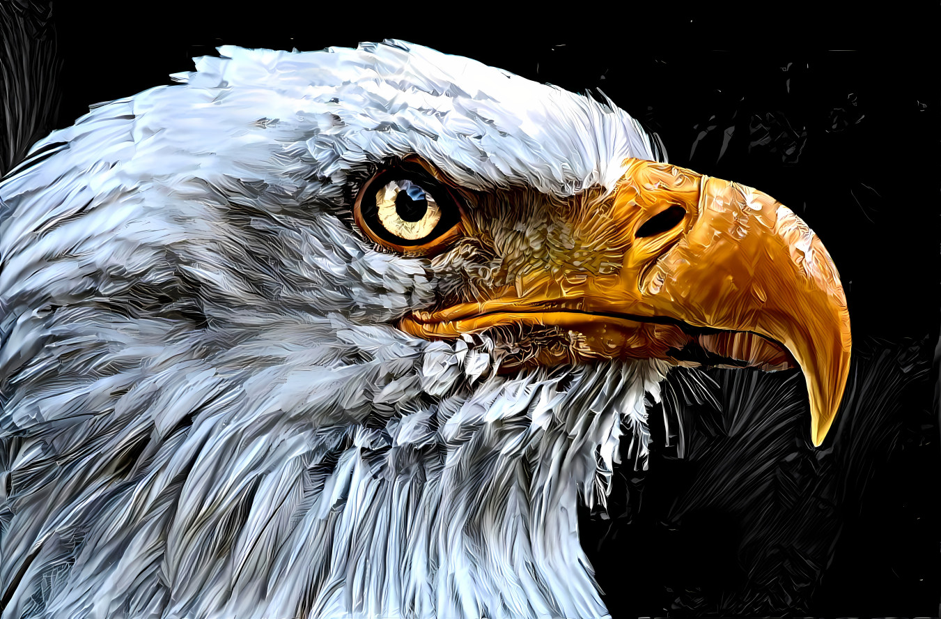 Eagle Eye