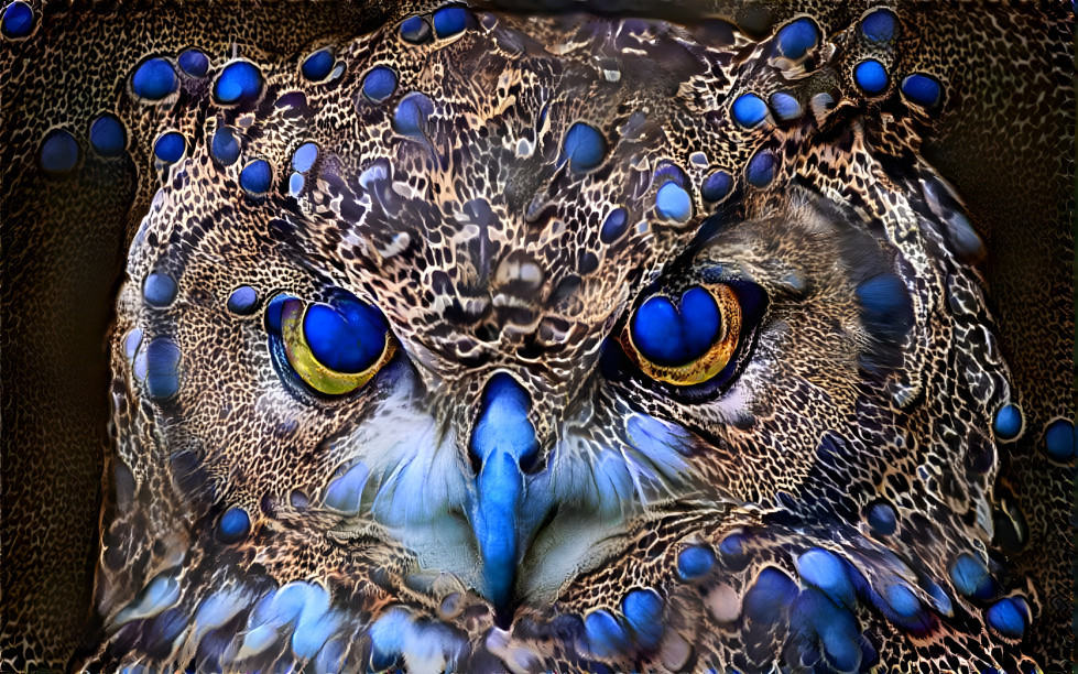 spotted eagle owl