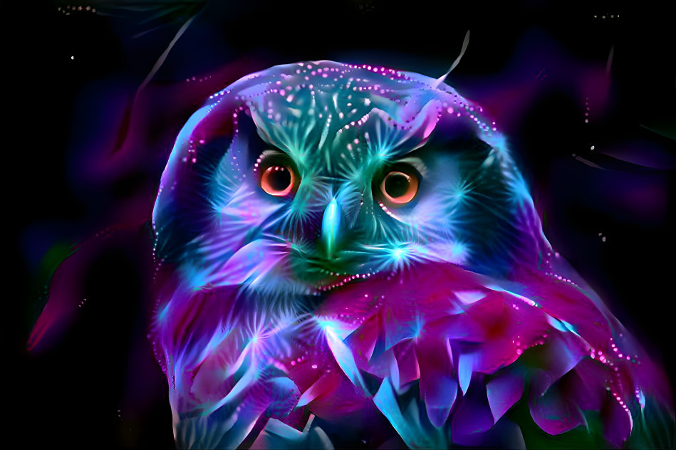 Owl