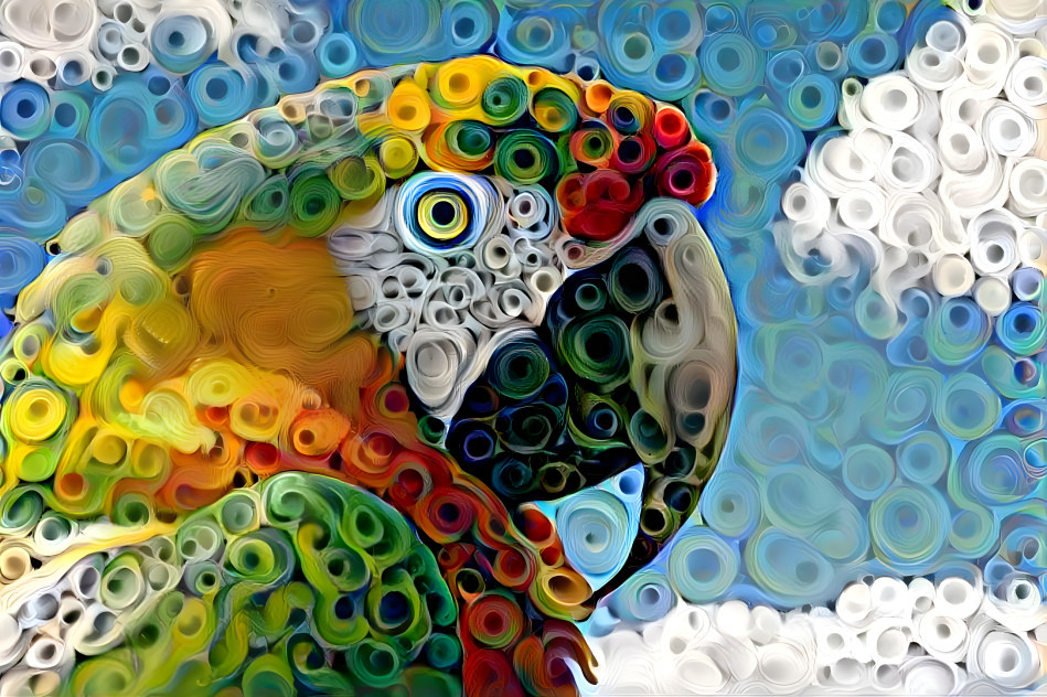 Parrot