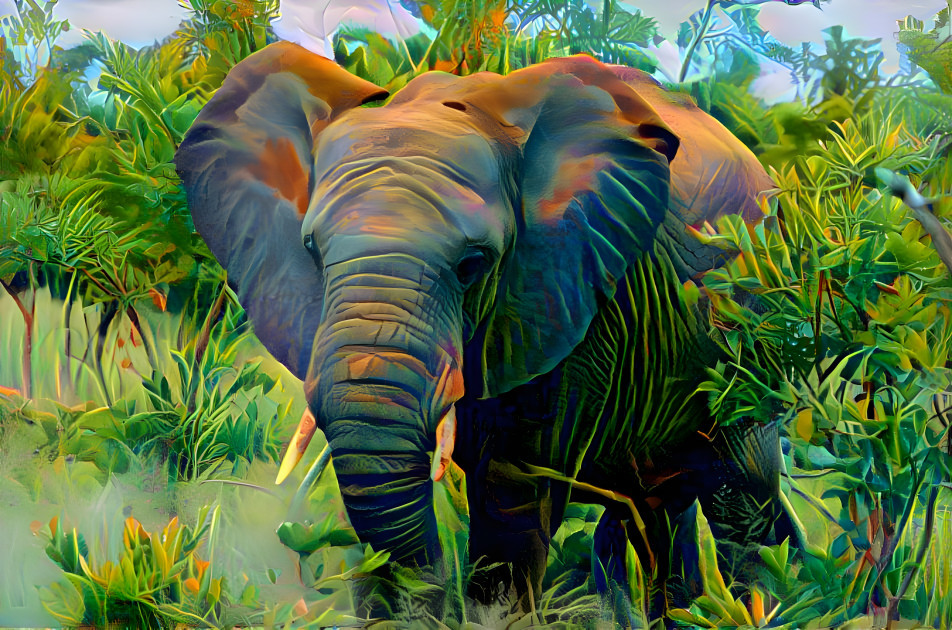 Elephant