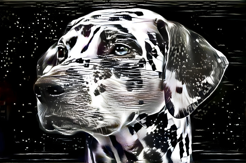 Dalmatian