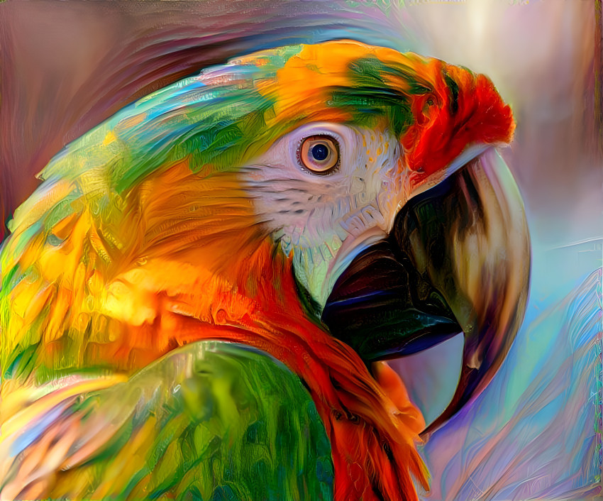 Macaw Parrot