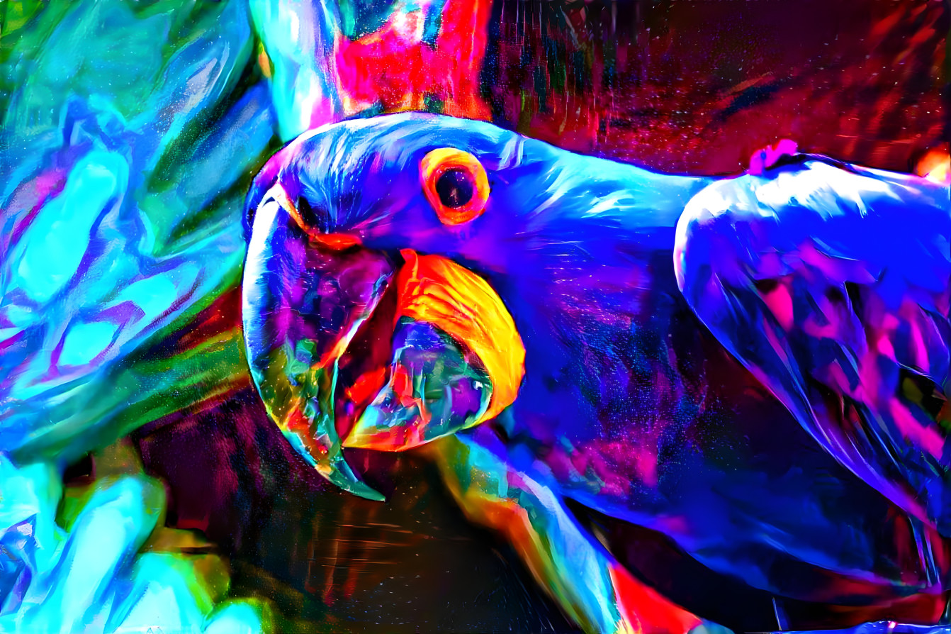 Macaw Nebula