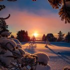 Colorful Fluffy Trees and River in Surreal Sunset Landscape