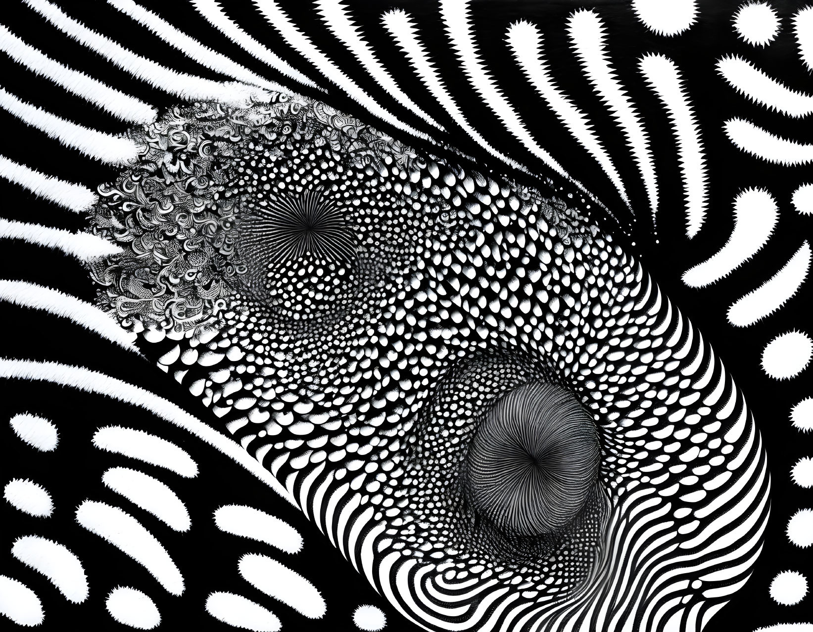 Monochrome swirl pattern with feather-like object on concentric circles.