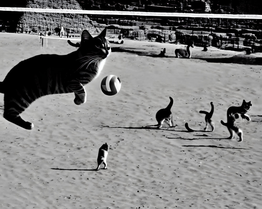 Whimsical black and white photo: Cats playing at Giza pyramid.