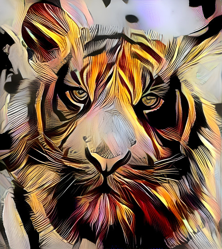 Face of Tiger