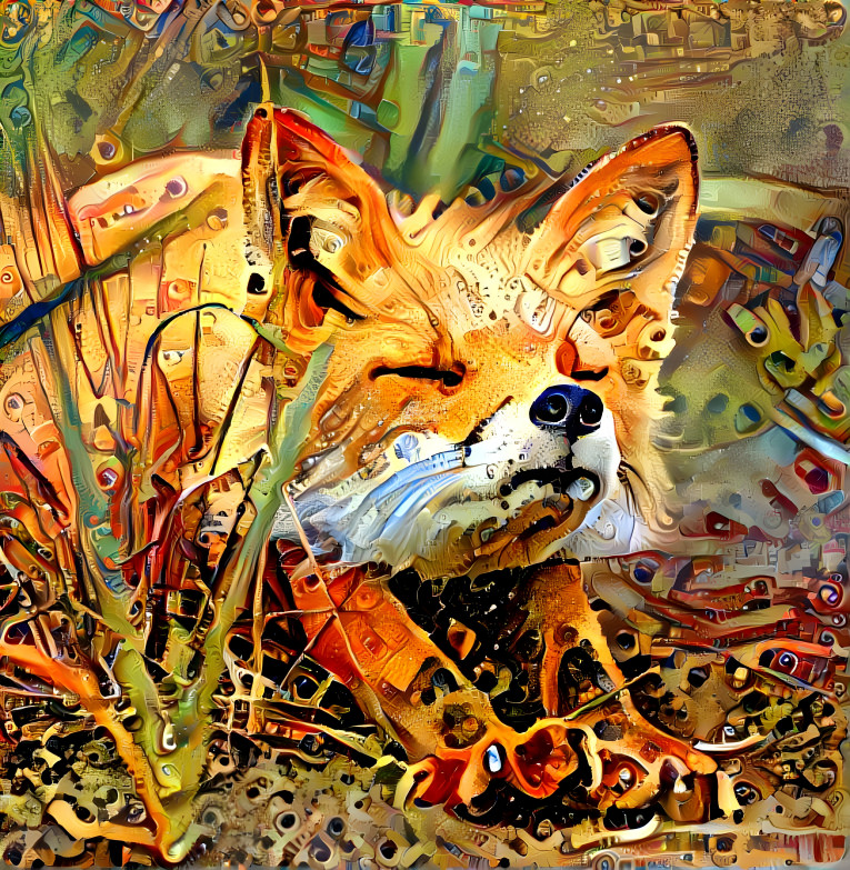 fire fox