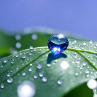 Blue water droplet on green leaf with dewdrops, sparkling in light