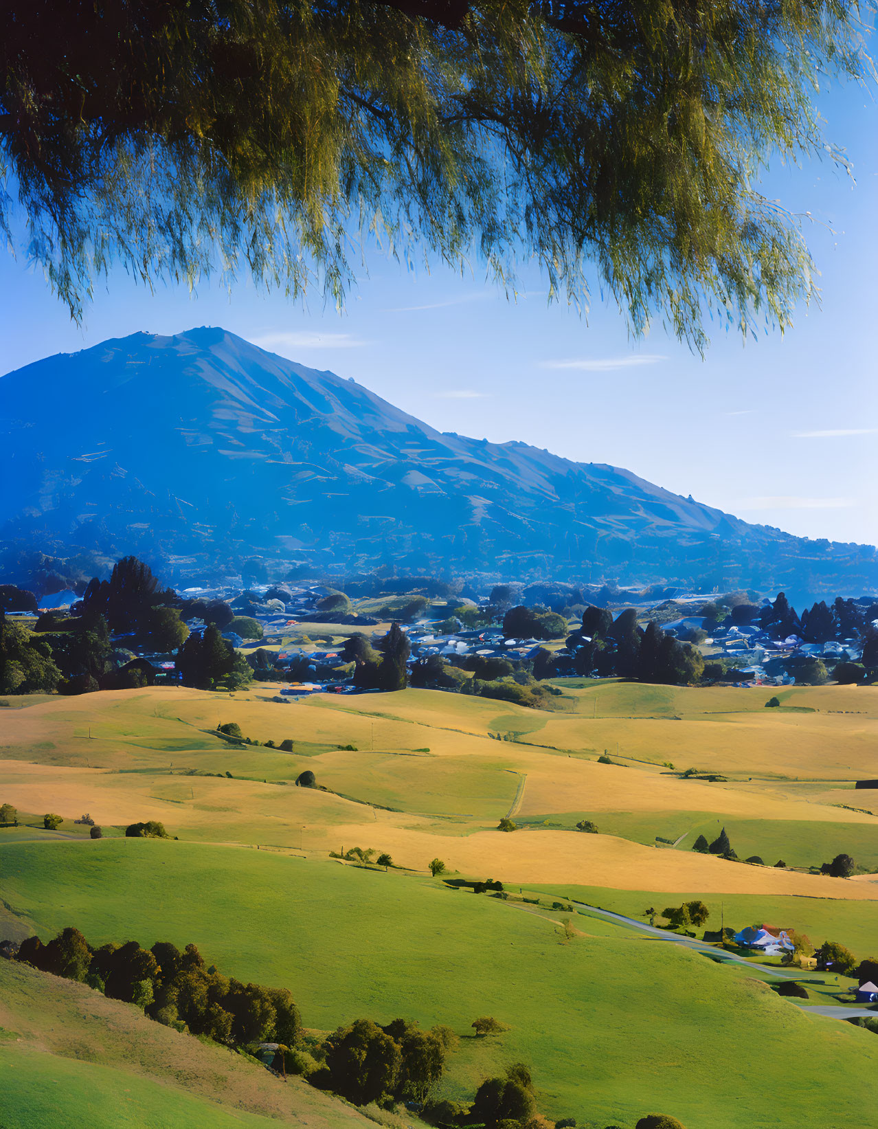 Vibrant green countryside with mountain backdrop