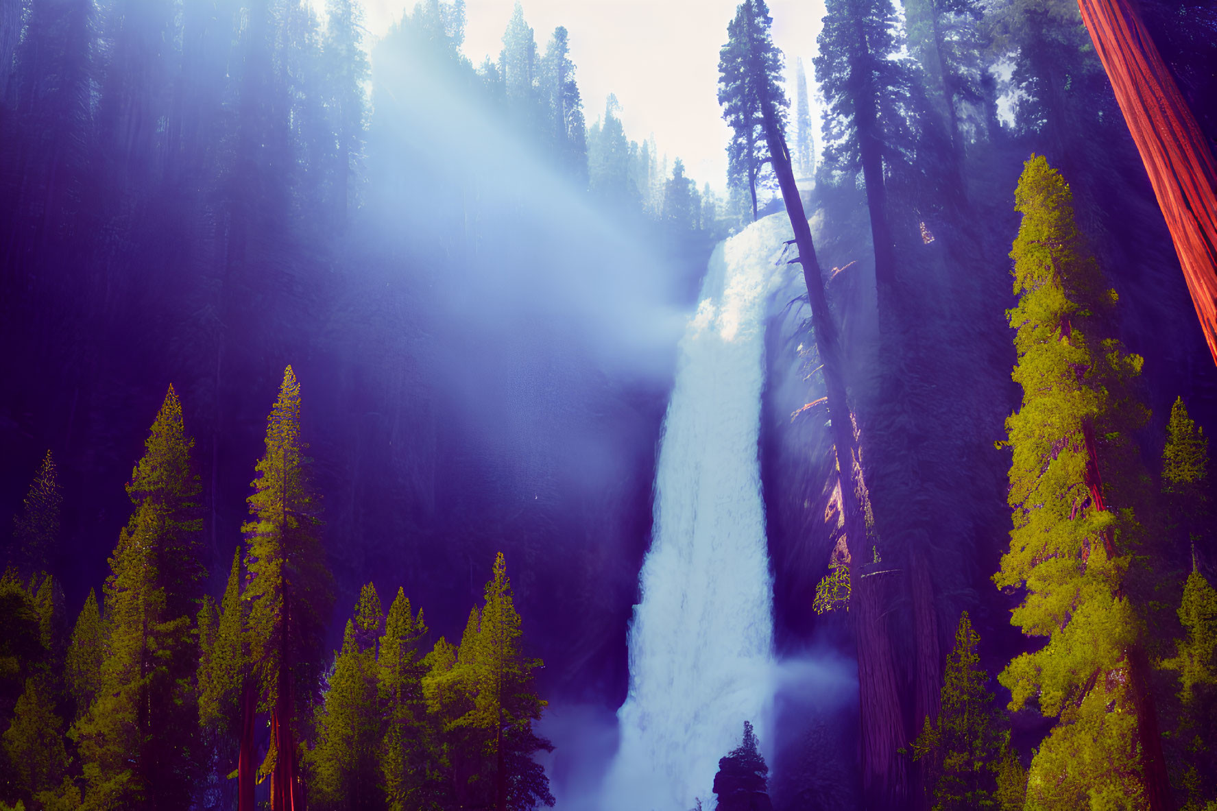 Sunbeams on misty waterfall in lush forest