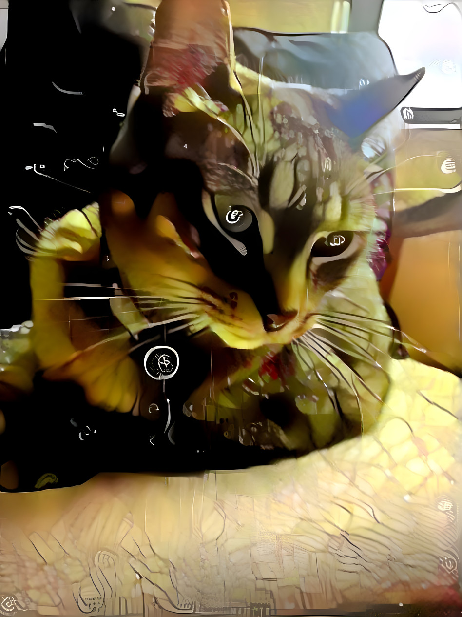 Hypno Kitteh