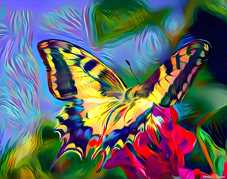 Butterfly