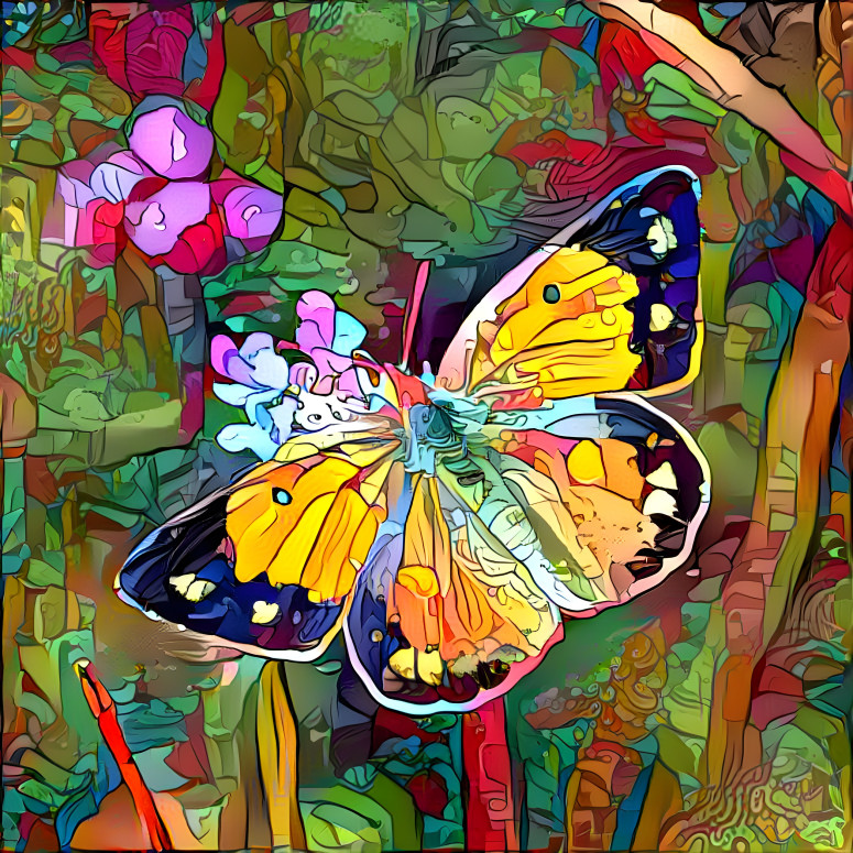 Butterfly 