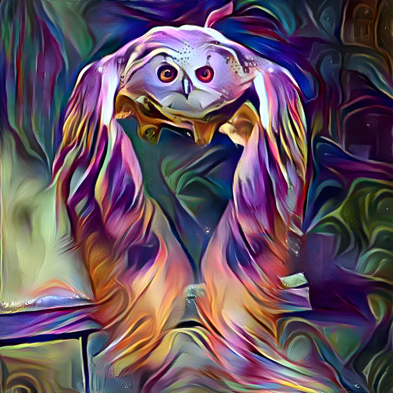 Owl