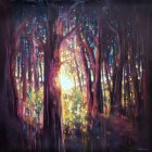 Couple Embracing in Colorful Forest at Sunrise or Sunset