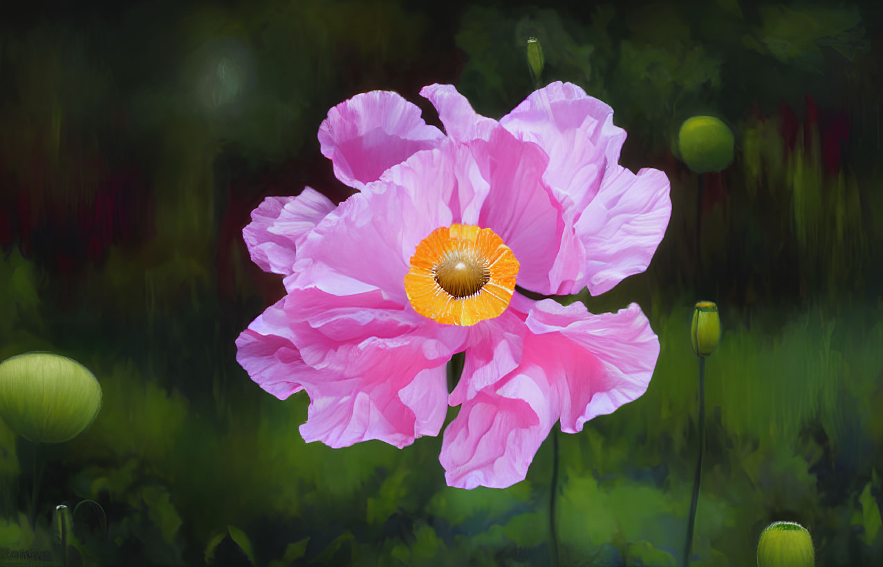 Vibrant pink poppy with bright orange center on blurred green background