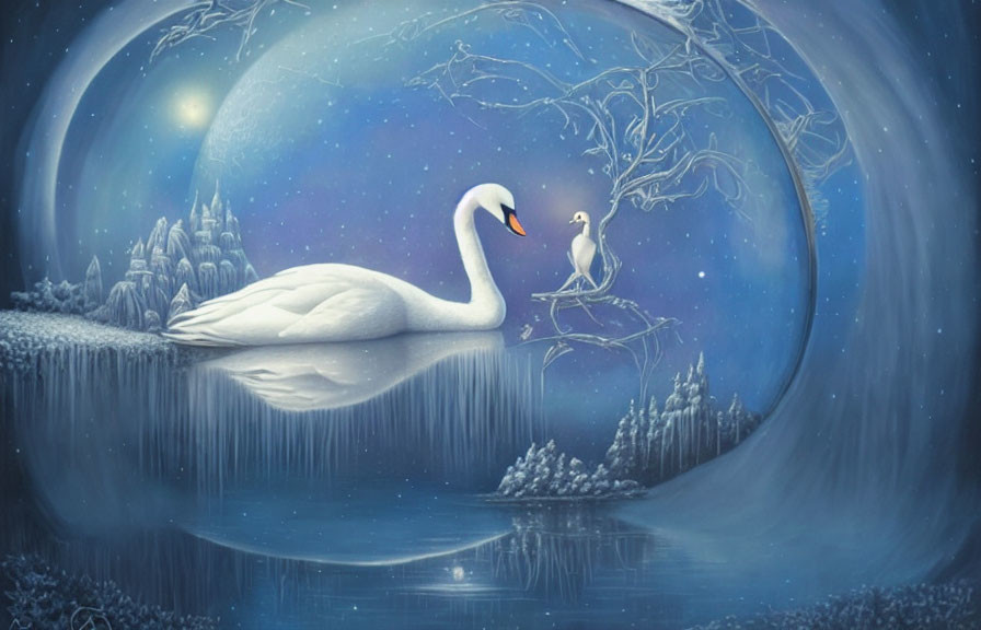 Swan on tranquil lake under moonlit sky with seagull on frost-covered tree