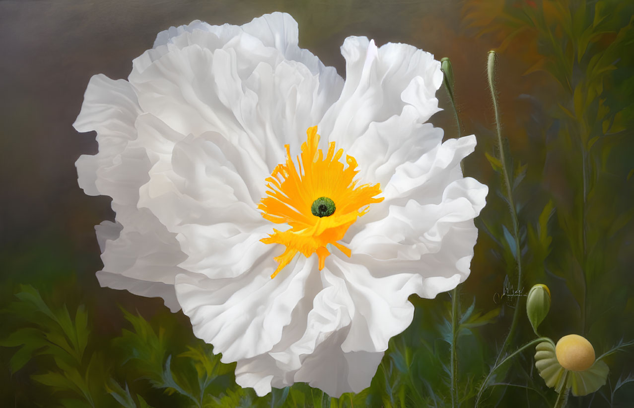 White Poppy Flower with Yellow-Orange Center and Green Foliage