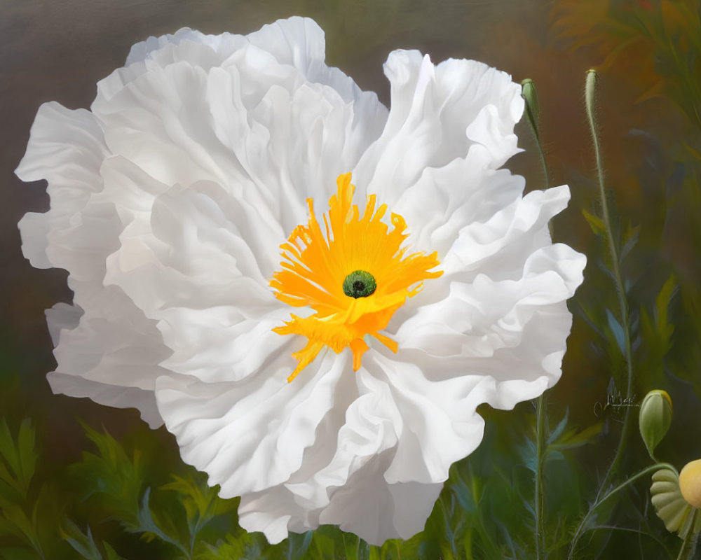 White Poppy Flower with Yellow-Orange Center and Green Foliage