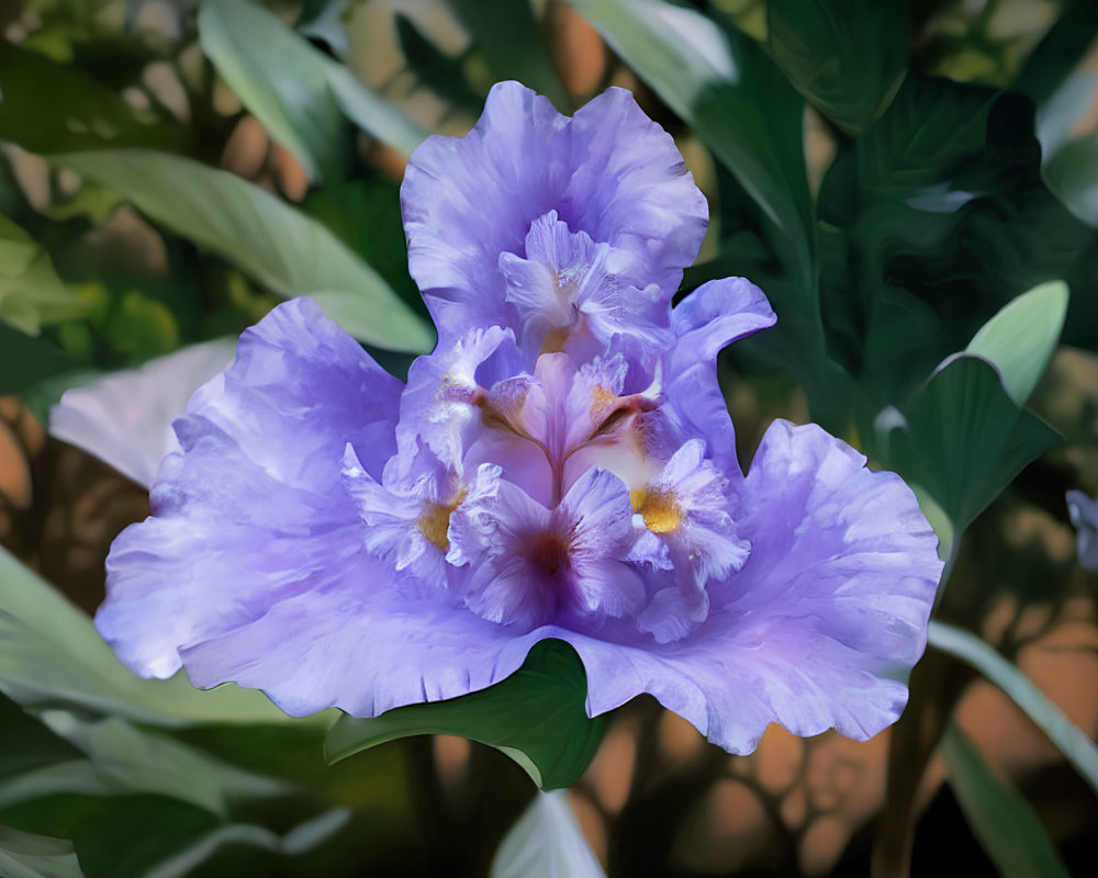 Purple Flower with Ruffled Petals and Yellow Stamens on Green Leaves