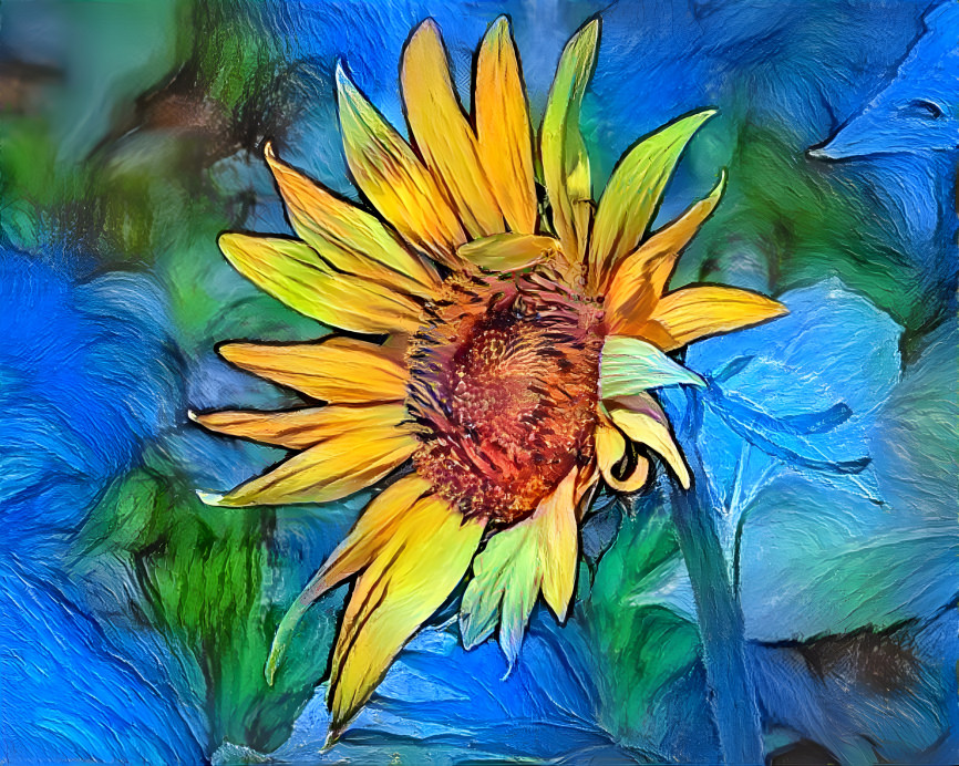 Sunflower 