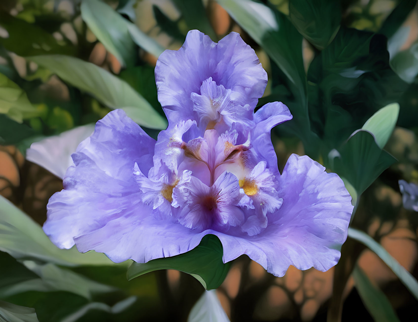 Purple Flower with Ruffled Petals and Yellow Stamens on Green Leaves