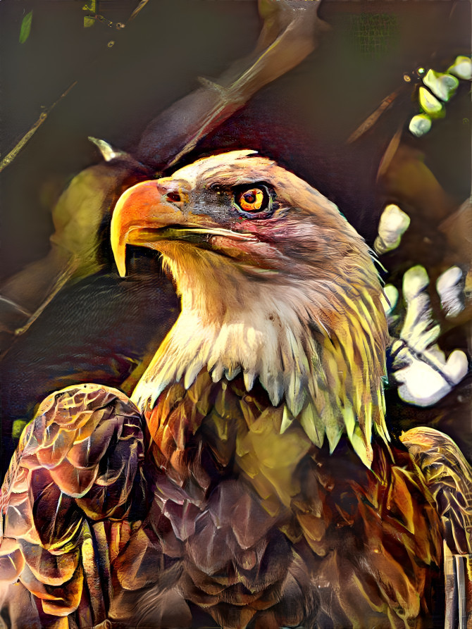 Majestic Bald Eagle 