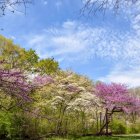 Colorful Blossoming Trees in Whimsical Landscape with Butterflies and Reflective Spheres