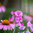 Colorful digital painting of assorted flowers on dark backdrop