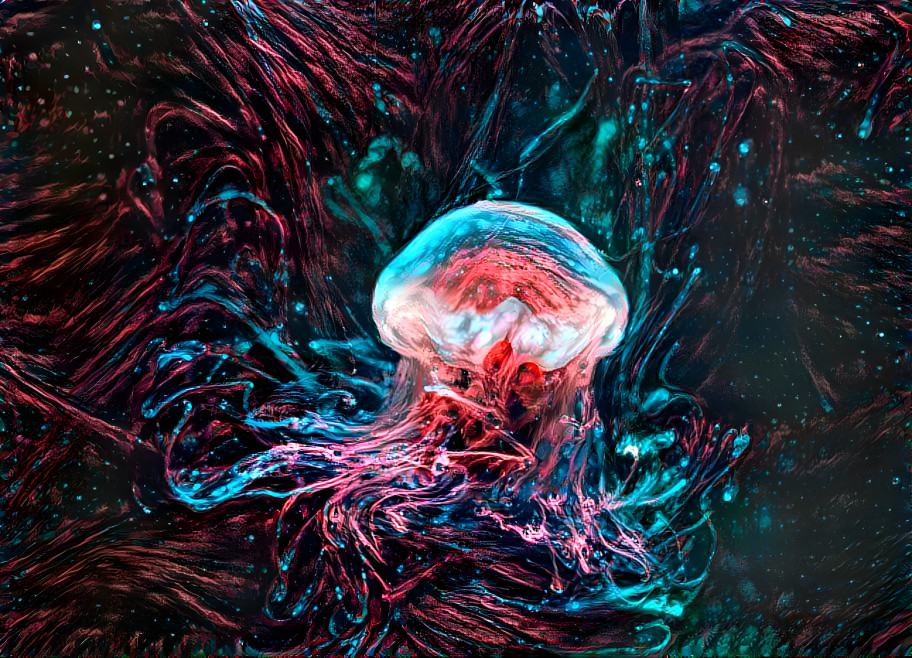 Jellyfish